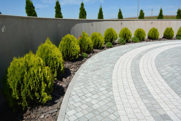 Reasons to Select Us for Your Driveway Paving Requirements in Lanai City, HI